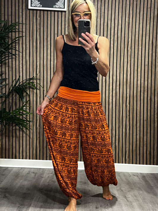 Harem Ellie Pants In Orange